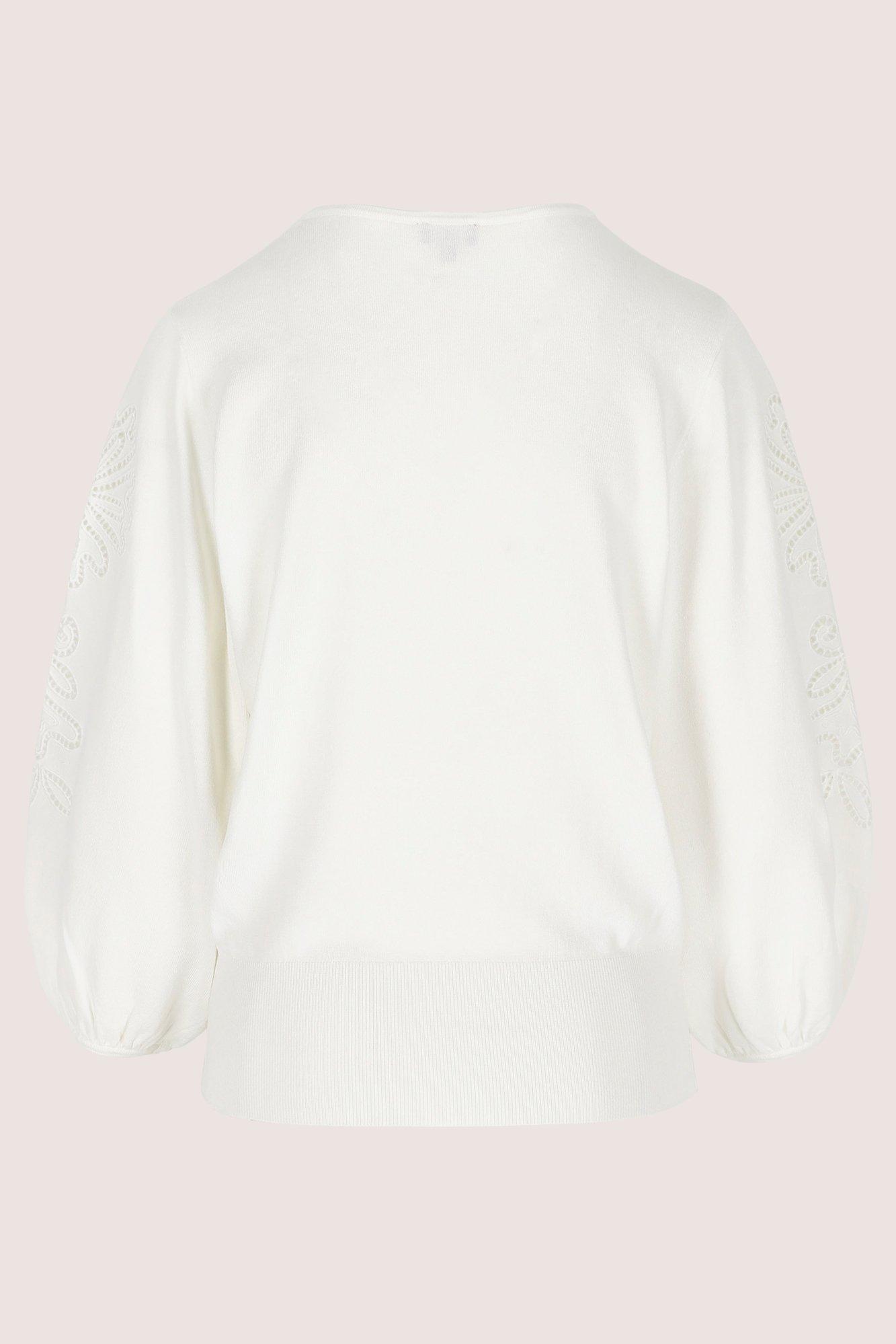 Truien - V-halstui met geborduurde mouwen